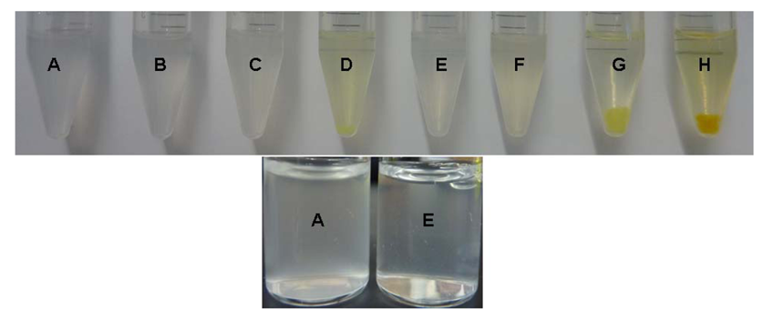 Polymers 03 01199f1 1024