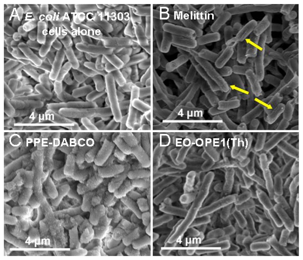 Polymers 03 01199f3 1024