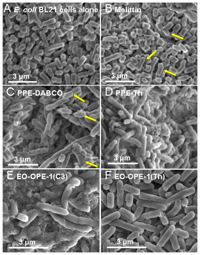 Polymers 03 01199f4 1024
