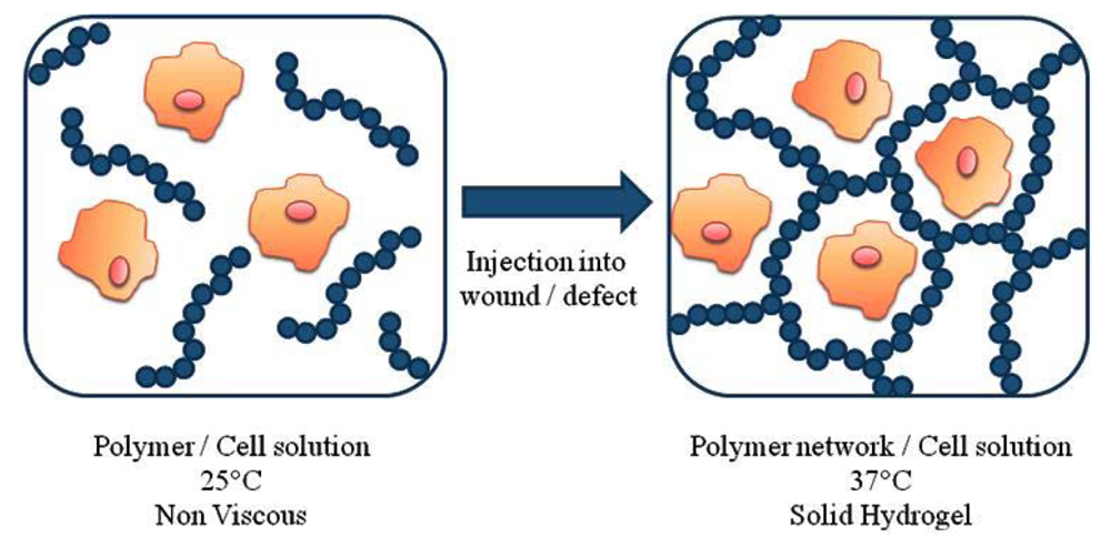 Polymers 03 01215f4 1024