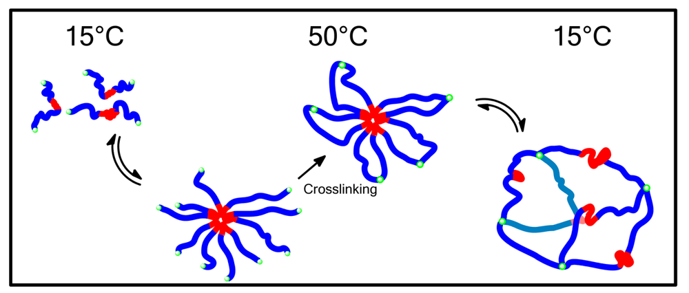 Polymers 03 01215f7 1024