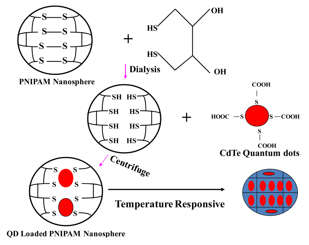 Polymers 03 01243f1