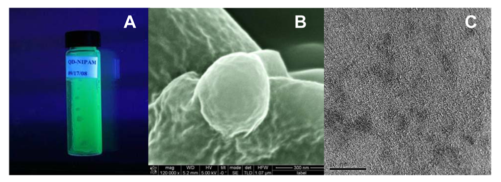 Polymers 03 01243f2