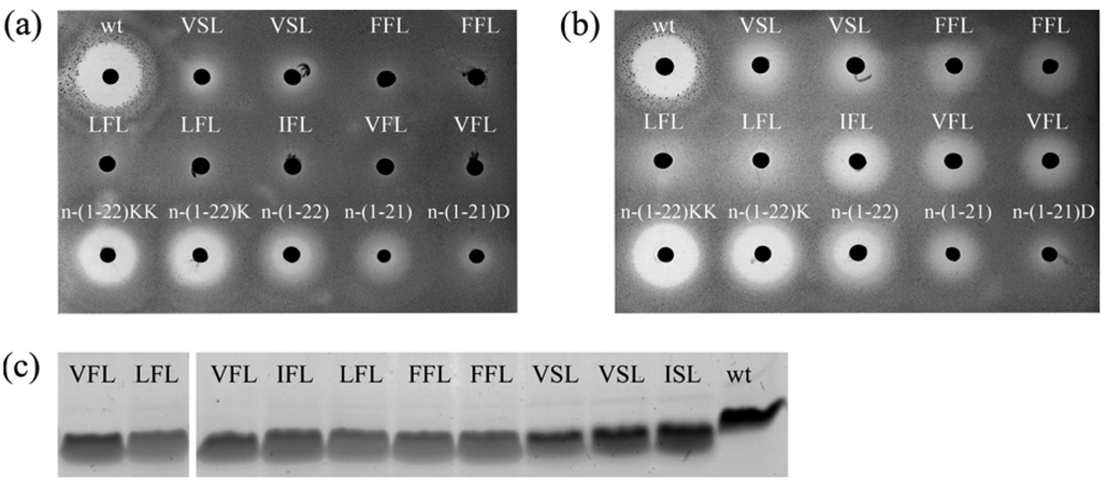 Polymers 03 01282f2 1024