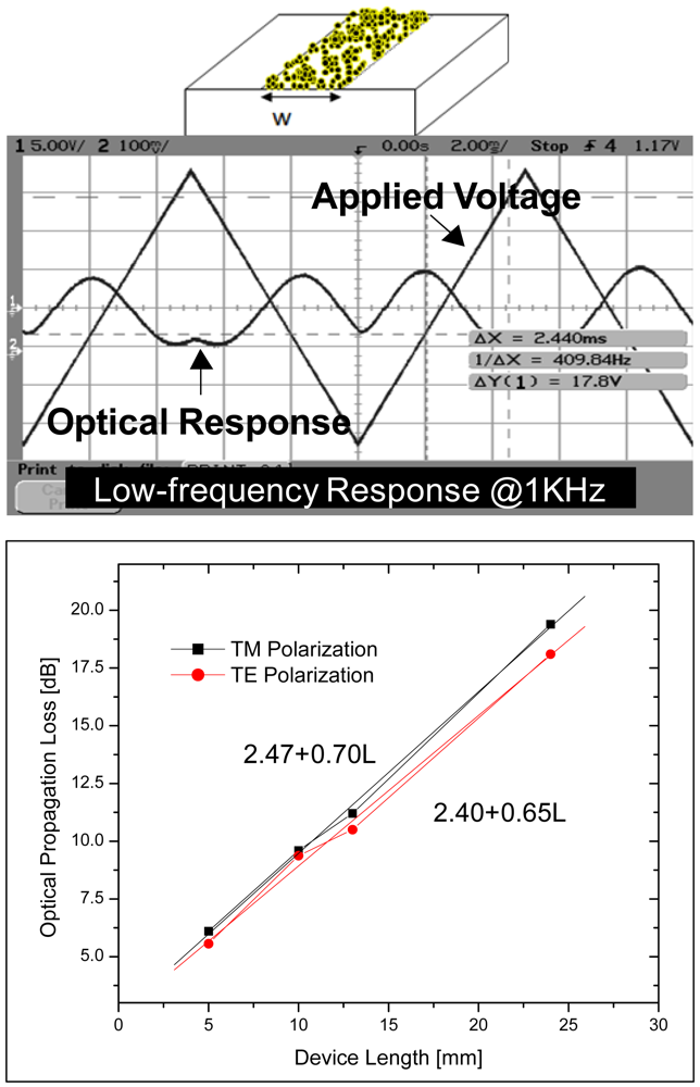 Polymers 03 01325f9 1024