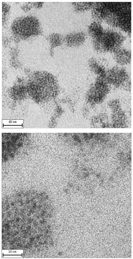 Polymers 03 01352f2 1024