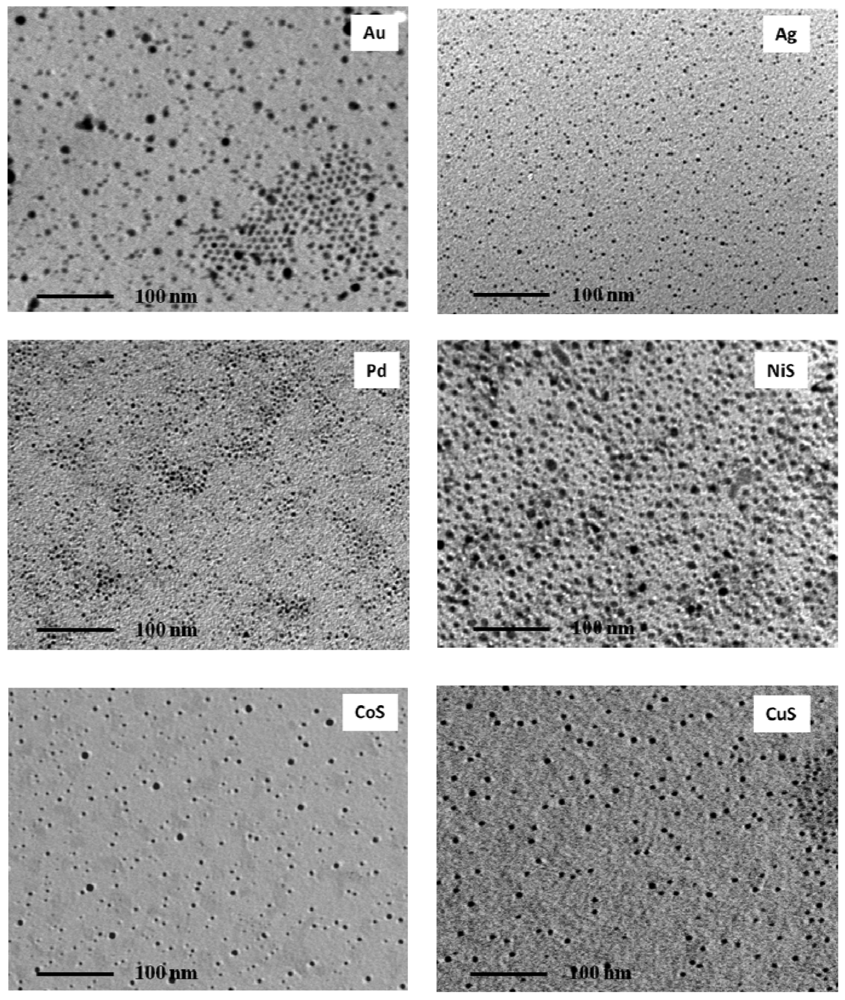 Polymers 03 01352f6 1024