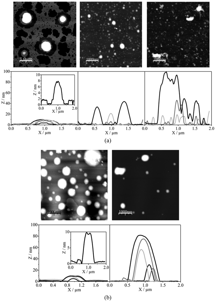 Polymers 03 01363f5 1024