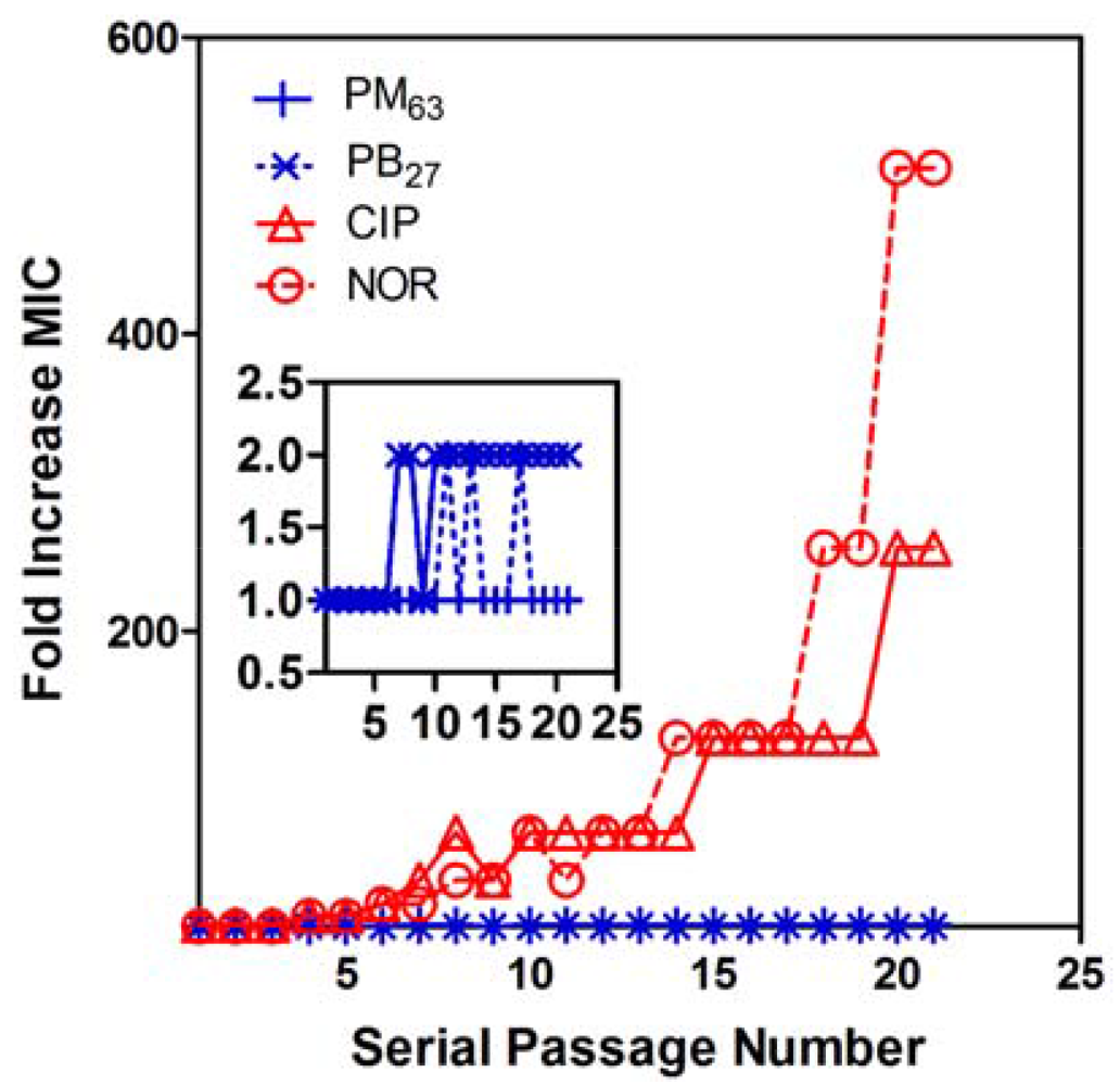 Polymers Free Full Text Activity And Mechanism Of Antimicrobial Peptide Mimetic Amphiphilic Polymethacrylate Derivatives Html
