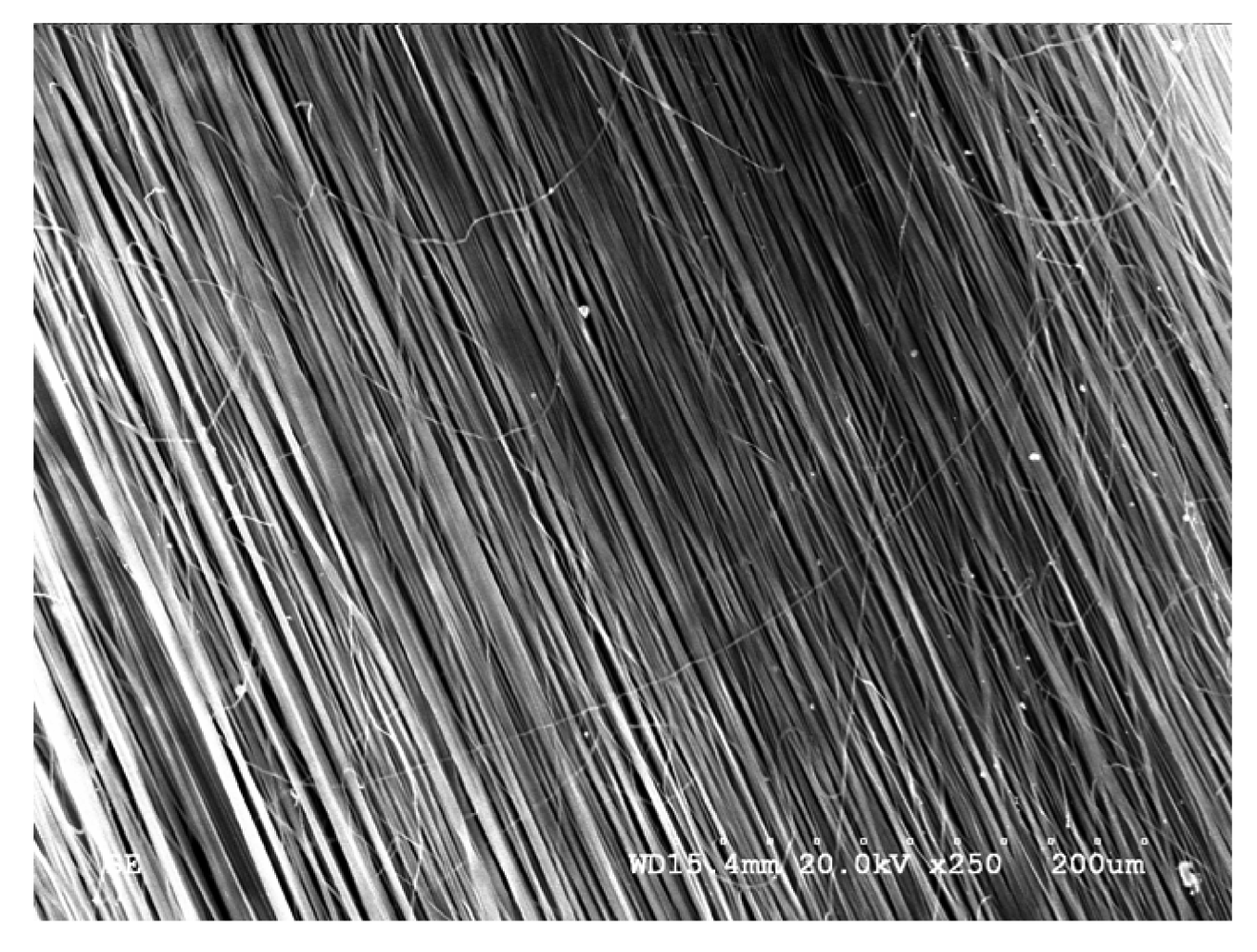 Polymers 03 01684f3 1024