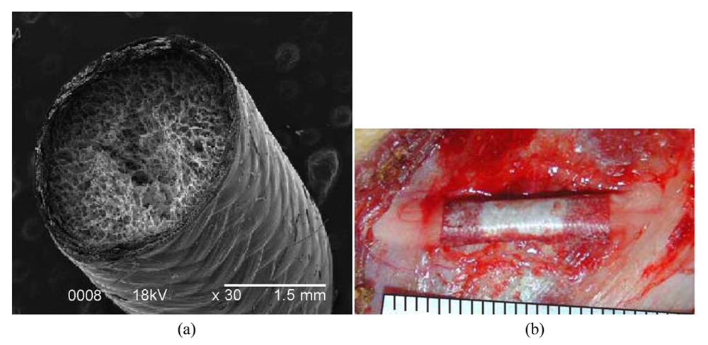Polymers 03 01684f5 1024
