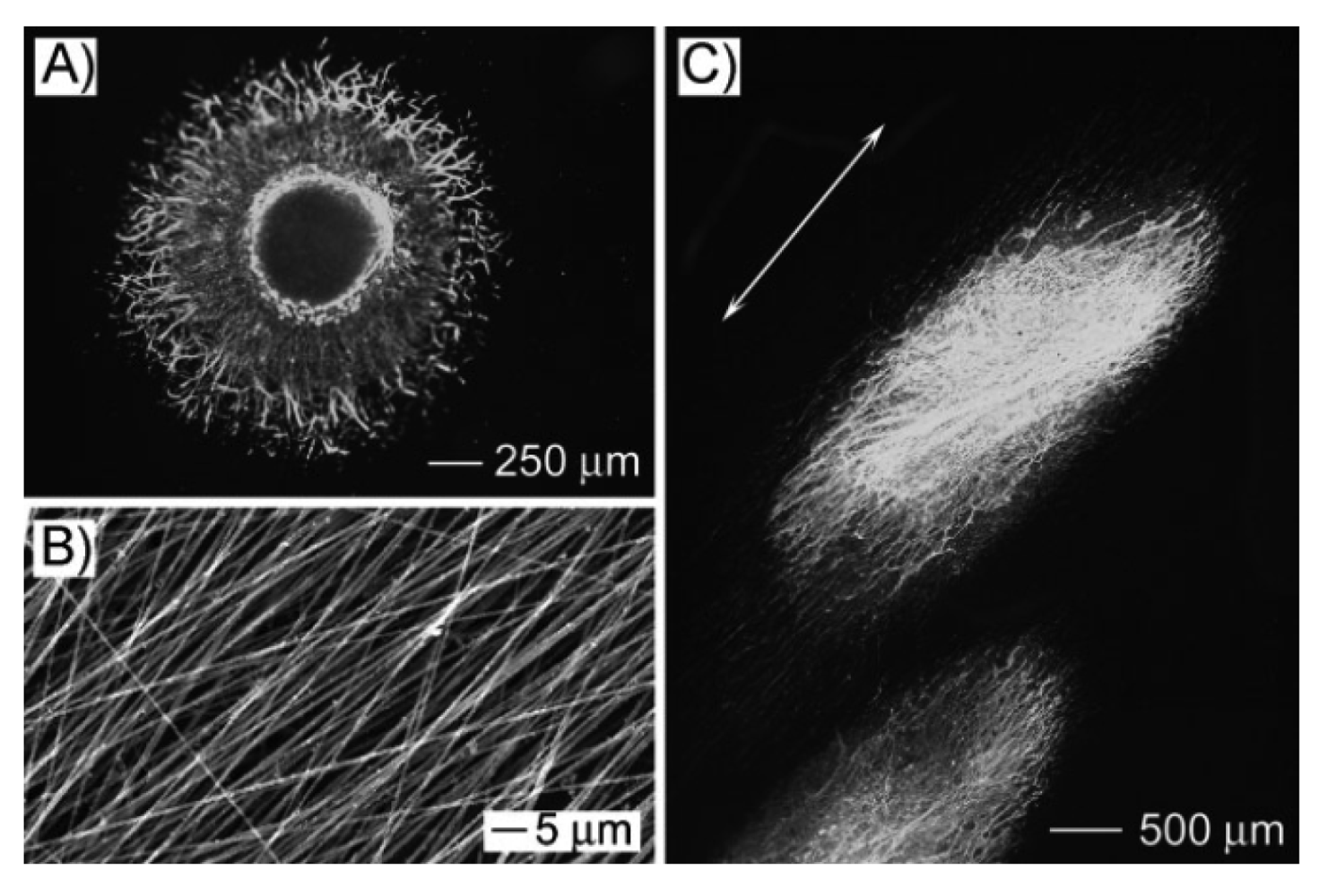 Polymers 03 01684f8 1024