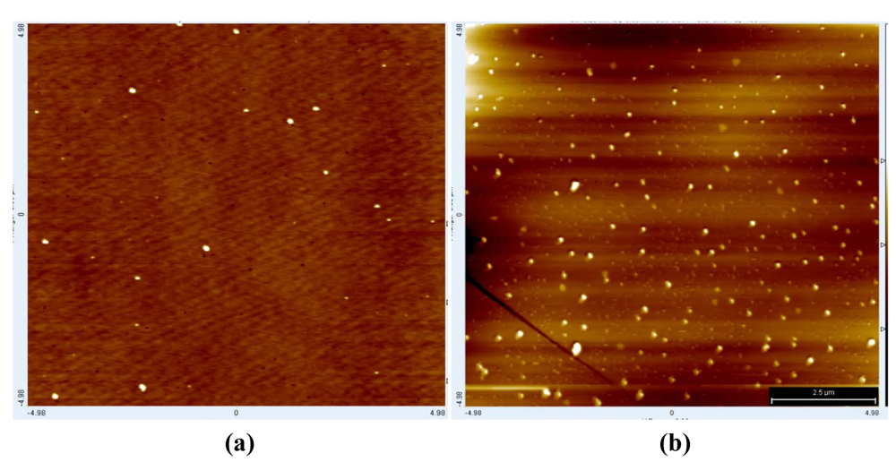 Polymers 03 01833f7 1024