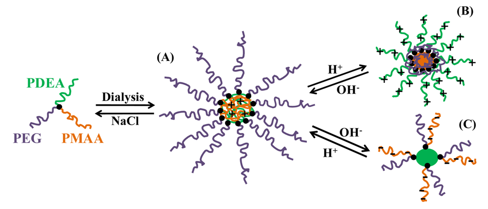 Polymers 03 01911f5 1024