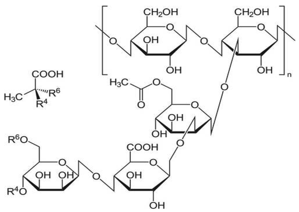 Polymers, Free Full-Text