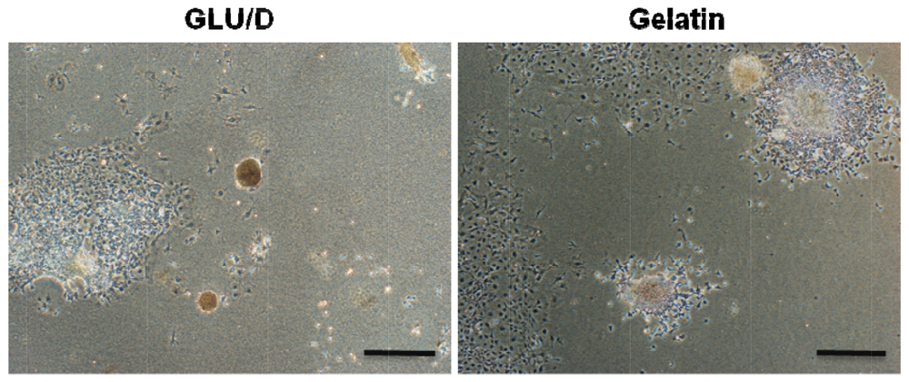 Polymers 03 02078f2 1024