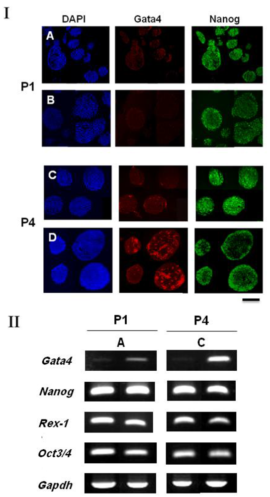 Polymers 03 02078f3 1024