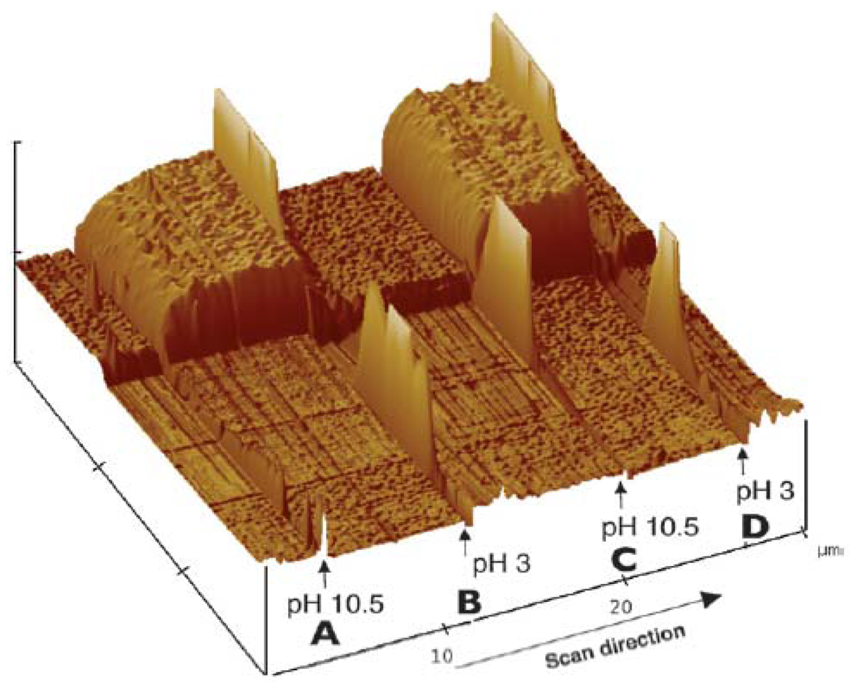 Polymers 03 02107f10 1024