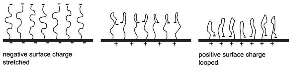 Polymers 03 02107f11 1024
