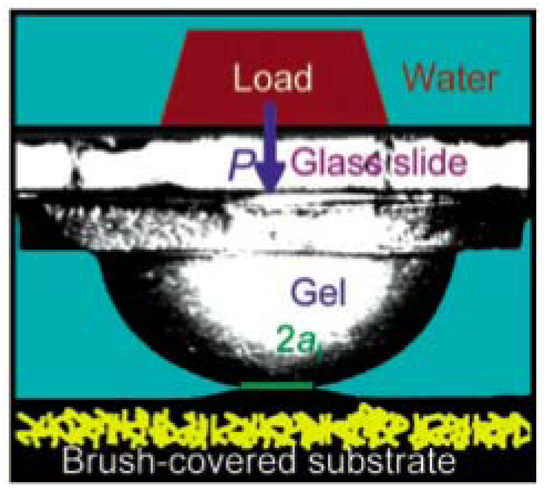 Polymers 03 02107f14 1024