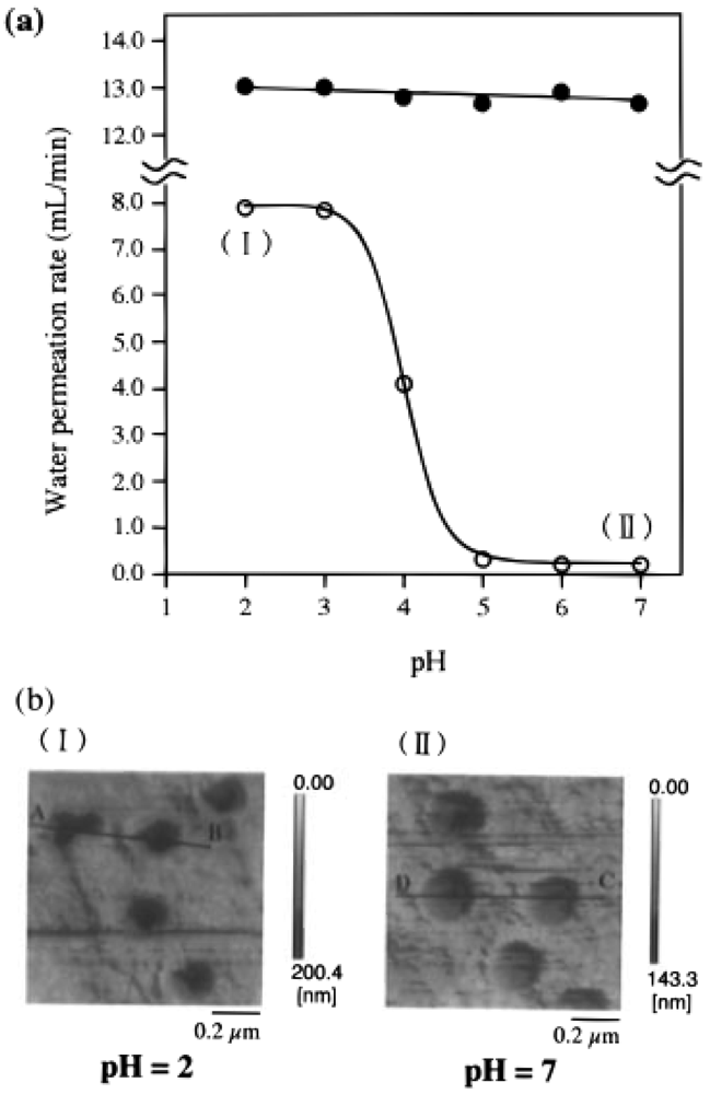 Polymers 03 02107f15a 1024