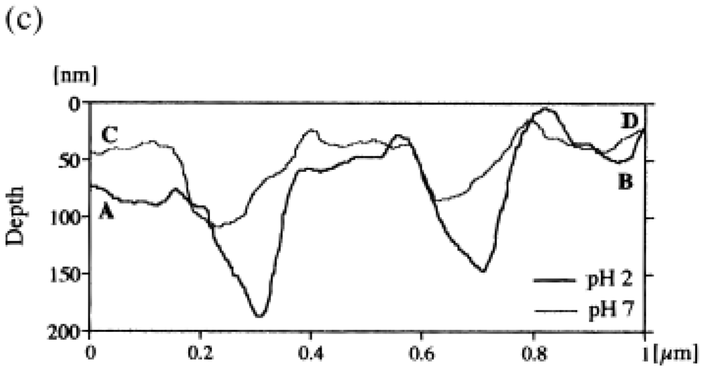 Polymers 03 02107f15b 1024