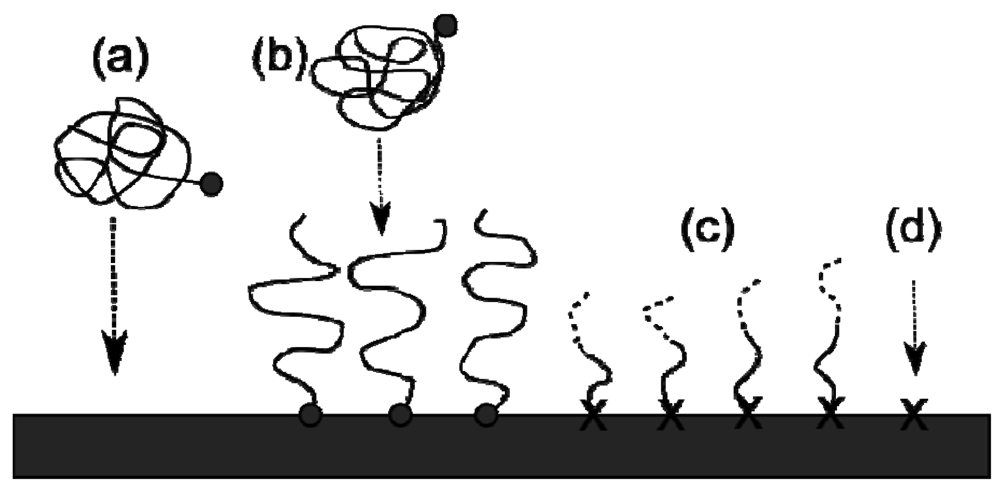 Polymers 03 02107f3 1024