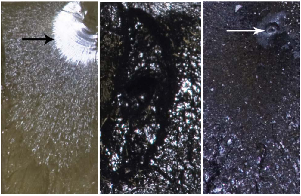 Polymers 03 02142f6 1024