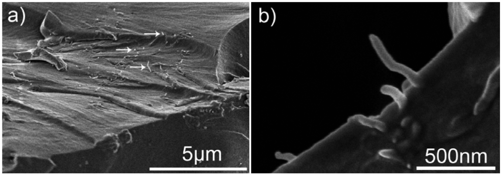 Polymers 03 02142f7 1024