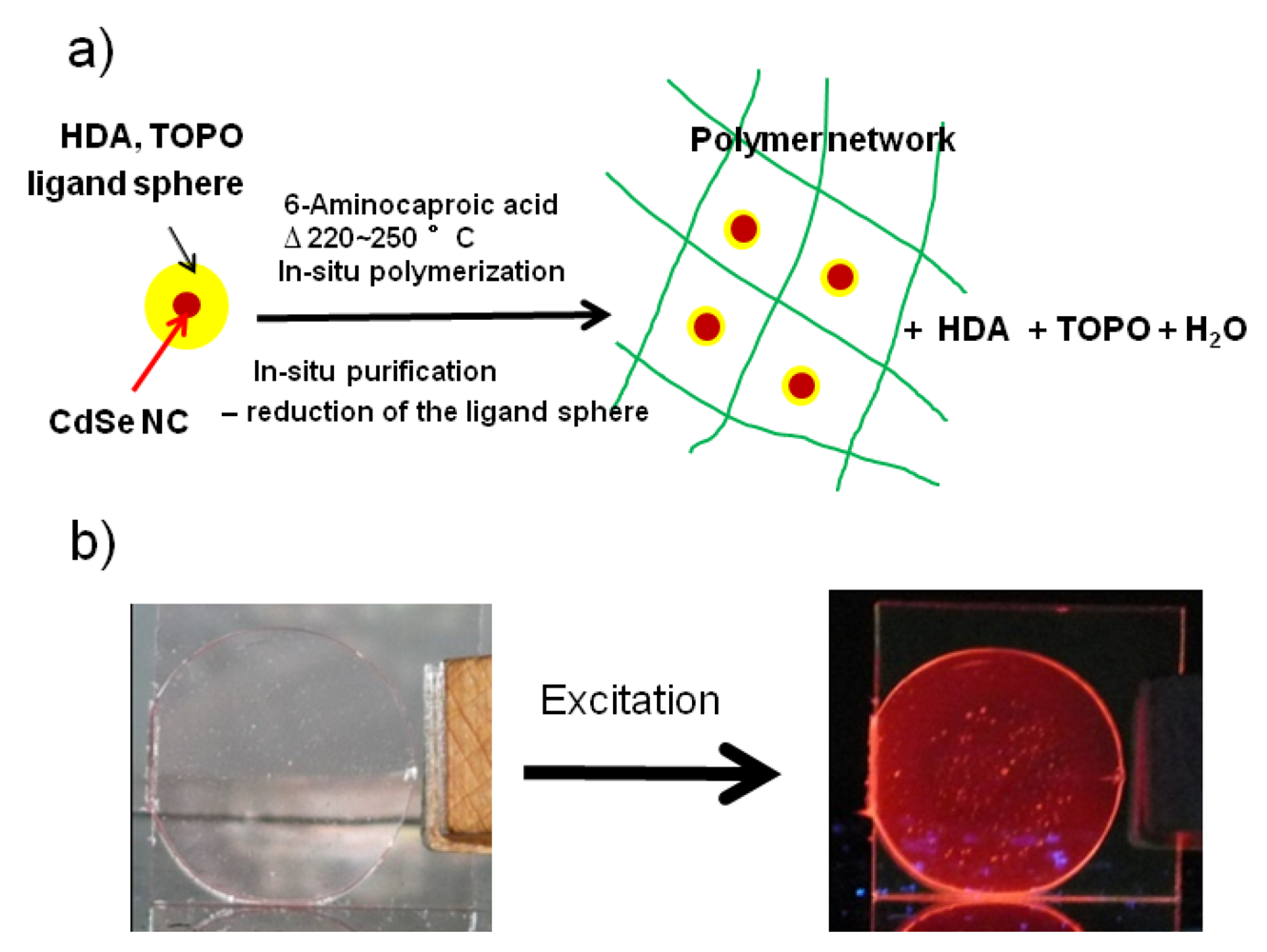 Polymers 04 00001 g010 1024
