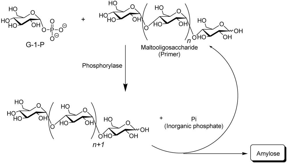 Polymers 04 00116 g002 1024