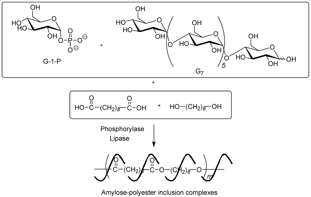 Polymers 04 00116 g009 1024