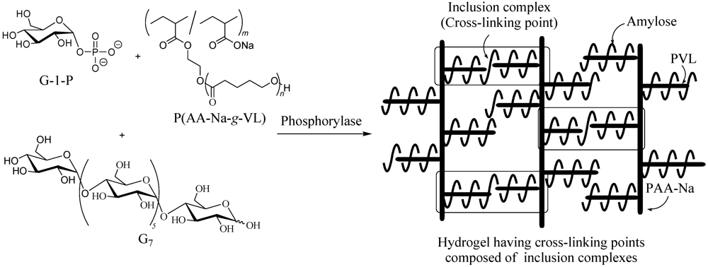 Polymers 04 00116 g011 1024