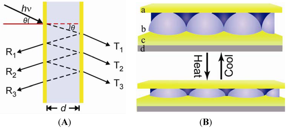Polymers 04 00134 g001 1024