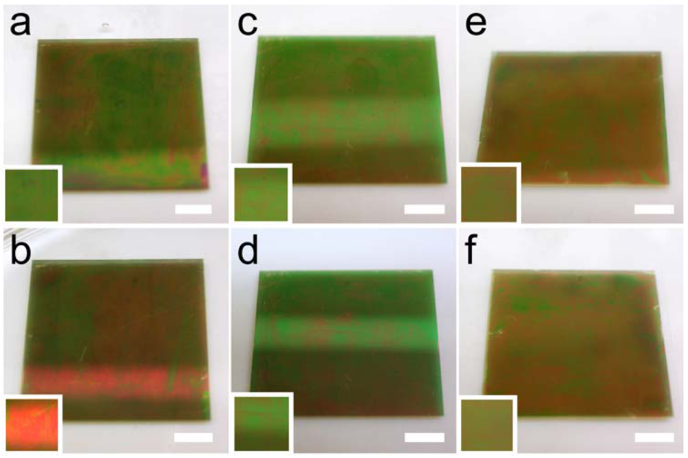 Polymers 04 00134 g010 1024