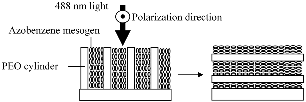 Polymers 04 00150 g015