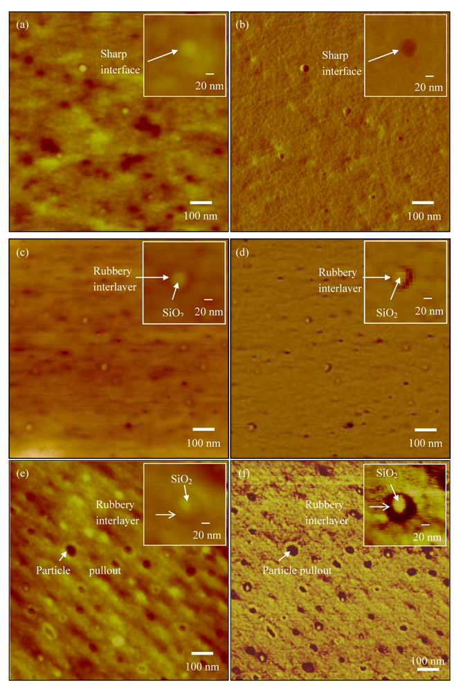 Polymers 04 00187 g003 1024