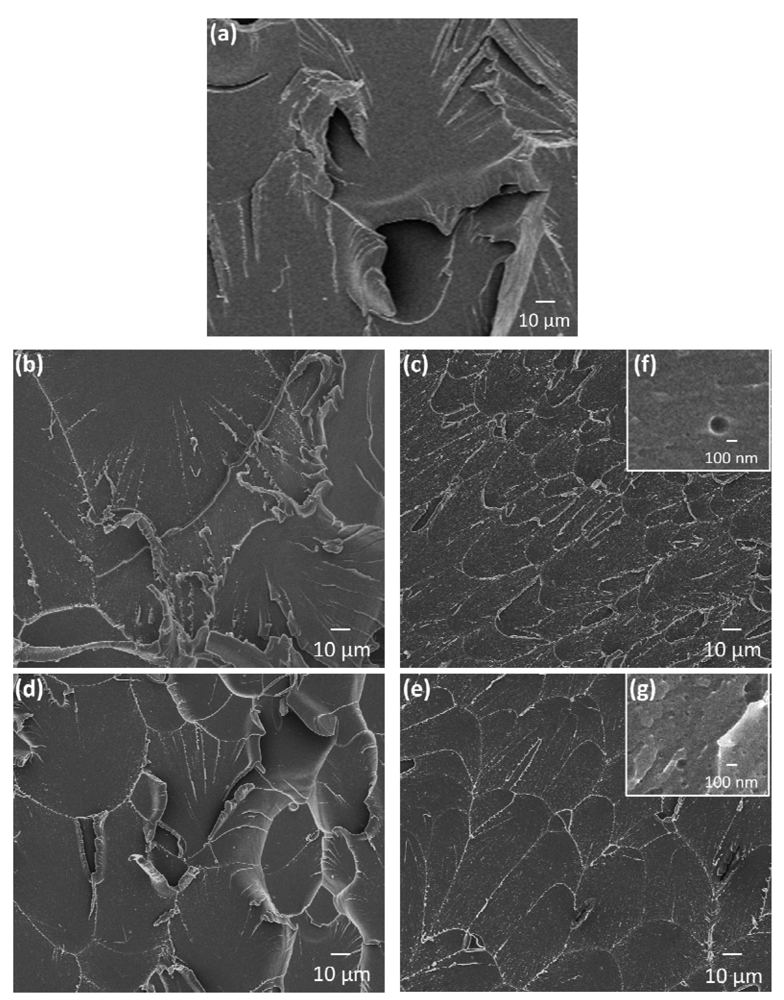 Polymers 04 00187 g014 1024