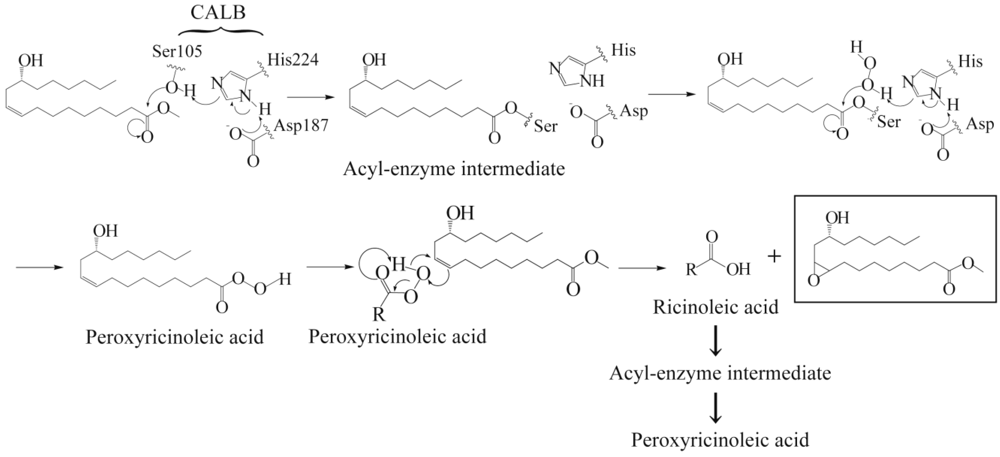 Synthesis polylactic acid by lipase catalyzed polymerization biology essay 06 picture