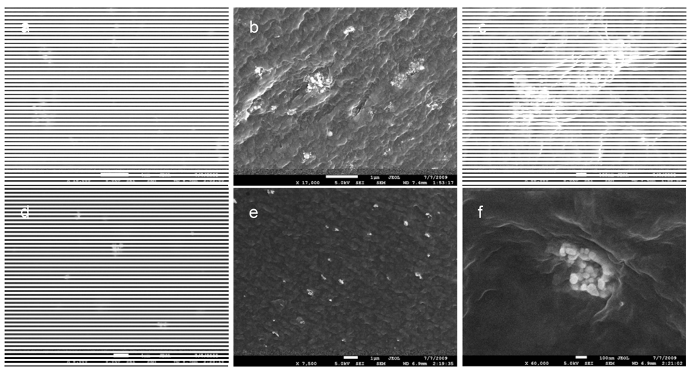 Polymers 04 00590 g003 1024