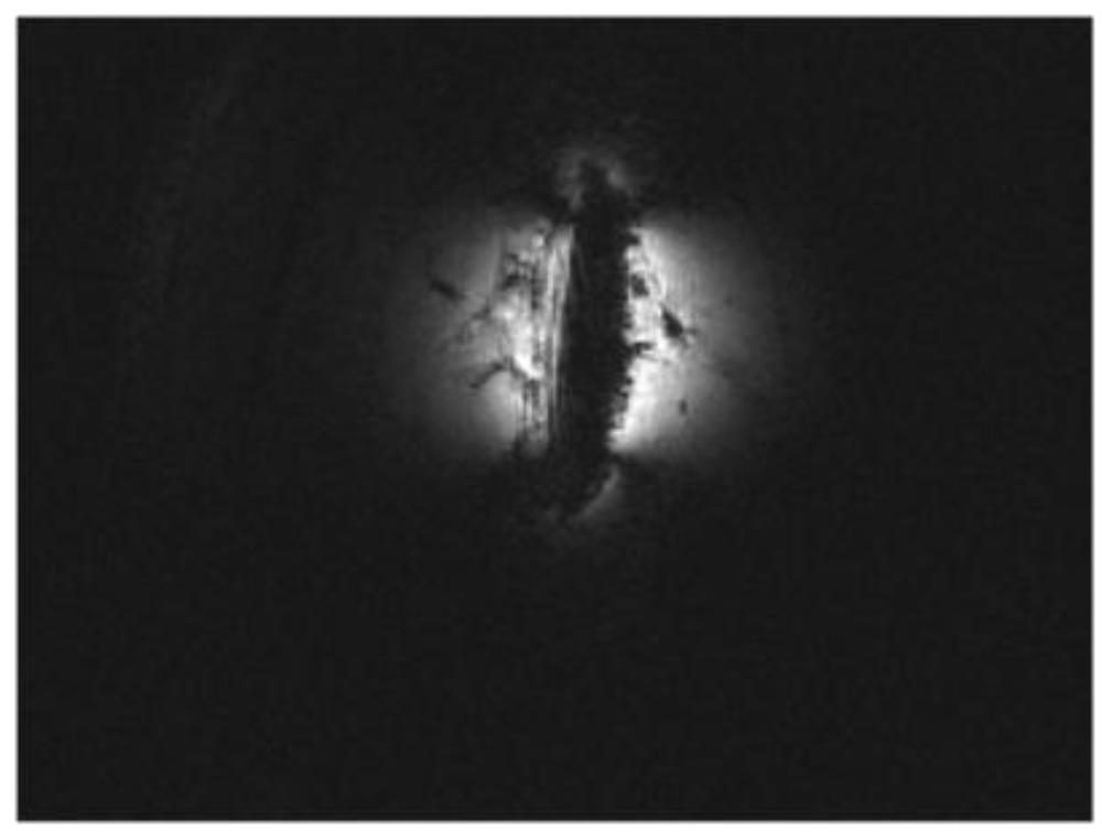 Polymers 04 00656 g017 1024