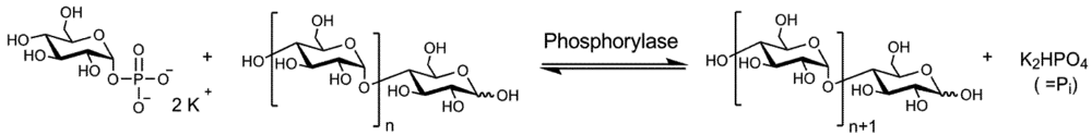 Polymers 04 00674 g001 1024