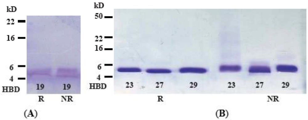 Polymers 04 00747 g002