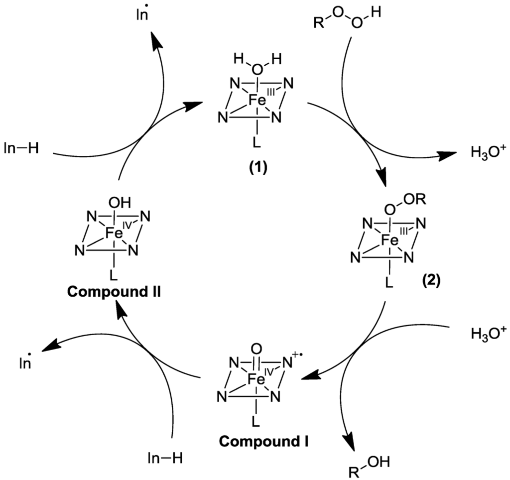 Polymers 04 00759 g002 1024