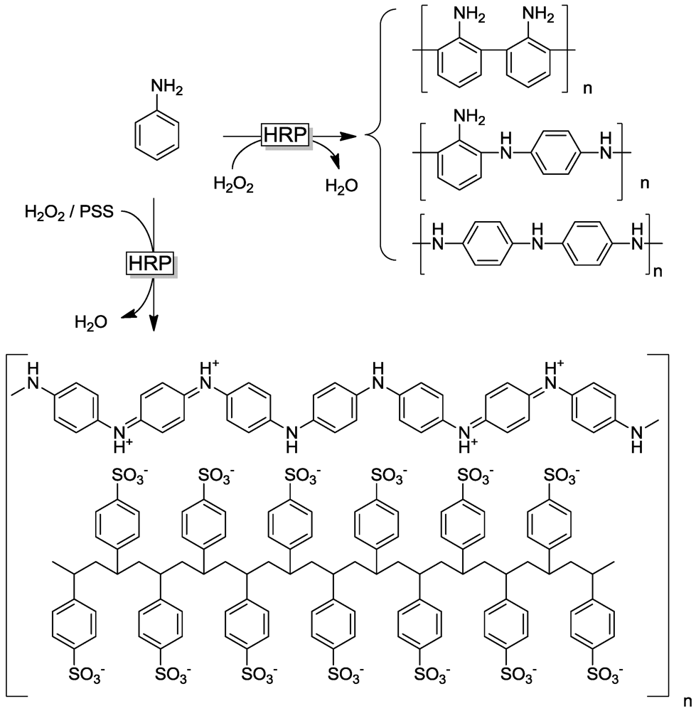 Polymers 04 00759 g012 1024