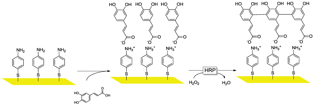 Polymers 04 00759 g013 1024