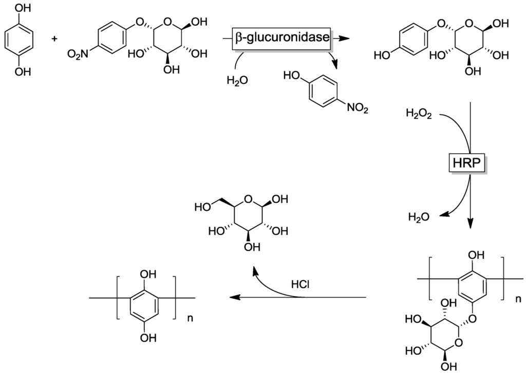 Polymers 04 00759 g015 1024