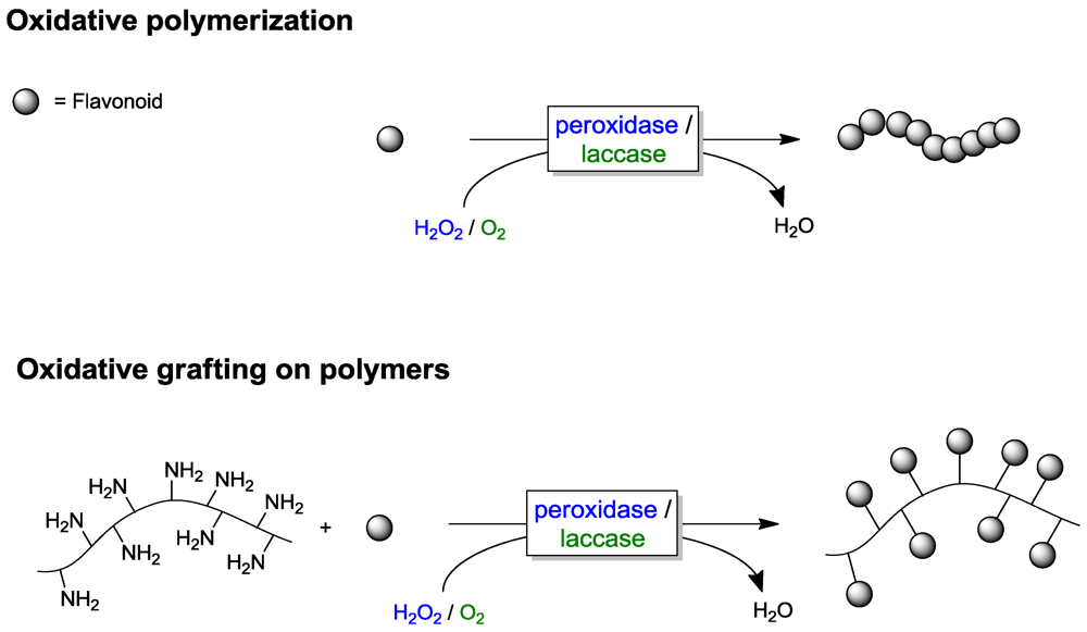 Polymers 04 00759 g018