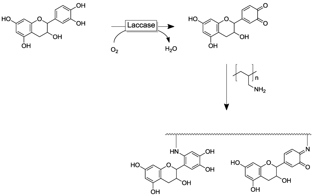 Polymers 04 00759 g019