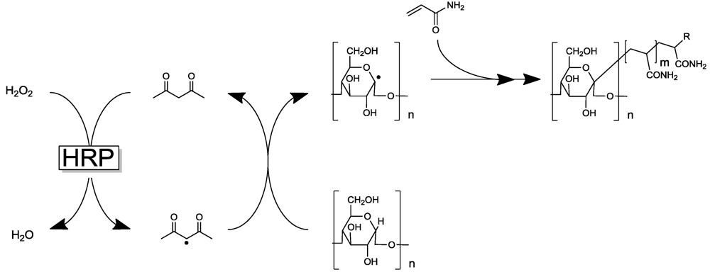 Polymers 04 00759 g022 1024